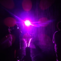 LACMA Honors Prince with Purple Rain Room