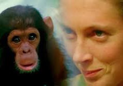 Jane Goodall Pic, ‘Kedi’, ‘Vietnam War’ Take Top Trophies at Critics’ Choice Documentary Awards